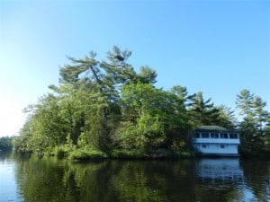 Stony Lake eagle nest - Rob Welsh June 2013