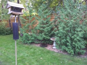 distance view of birdbath on ground (to left of regular birdbath)