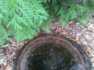 birdbath with water dripping into it