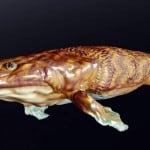 Reconstruction of prehistoric fish Panderichthys - my 185-million-greats-grandfather