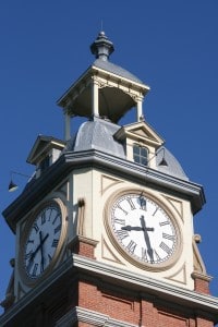 Peregrine in downtown Peterborough in 2009 - Rick Stankiewicz 