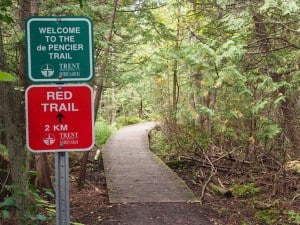 Boardwalk at beginning of de Pencier Trail (Drew-Monkman)