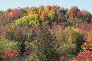 Lady Eaton Drumlin as seen from east side of Otonabee River - Drew-Monkman