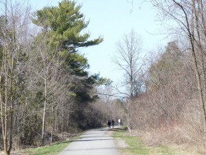 Parkway Trail between Hilliard Street and Cumberland Drive  - Drew Monkman