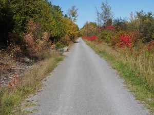  Rotary Greenway Trail where it traverses the Promise Rock Nature Area -Drew Monkman