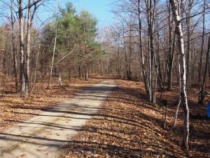  Cottage road in November. Note the long shadows, even at noon - D. Monkman