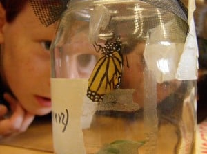 Students watching Monarch emerge from chrysalis -Sept. 2007 Drew-Monkman