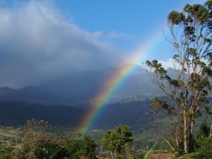 Rainbow over Boquete - D. Monkman 