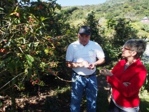 Finca Lerida coffee tour - D. Monkman 