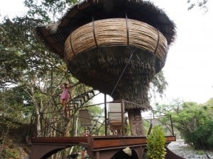 Tree House at Rio Encantado - D. Monkman 