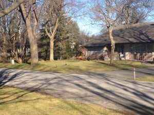 Christmas eve 2015 on Maple Crescent, Peterborough - Drew Monkman