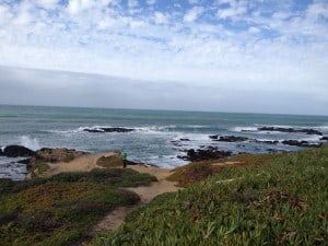 California coast north of Monterey - Drew Monkman 