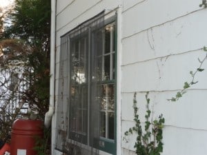 Window bird protection  screen -  Jim Conley