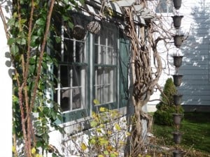 Window bird protection screen is nearly invisible from this angle. Jim Conley