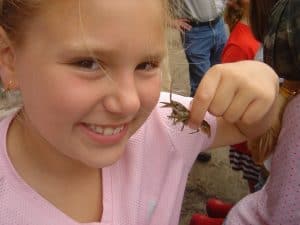 kids are born biophilic-loving the natural world Photo by Drew Monkman