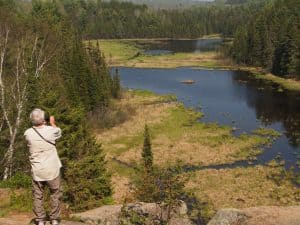 View from lookout on Beaver Pond Trail - Drew Monkman 
