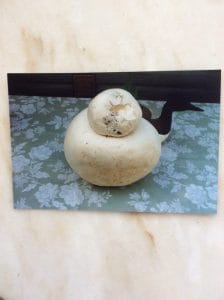 Giant Puffball mushroom - 6 lbs! - October 13, 2016 - Joan Major 