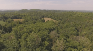  The Howson family property near Rice Lake. Known-as Glen Burn, it is protected under Conservation Agreement with the Kawartha Land Trust 