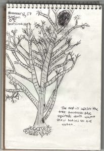 A page from a child's nature journal - photo by Drew Monkman 