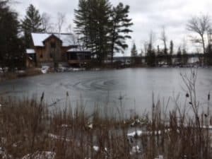 Ice circles at Burri's pond - Kawartha Park - December 5, 2016 - Sandra Burri 