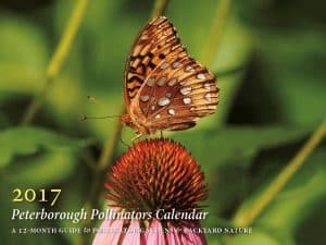 Cover of Peterborough Pollinator's new 2017 calendar (photo by Ben Wolfe)